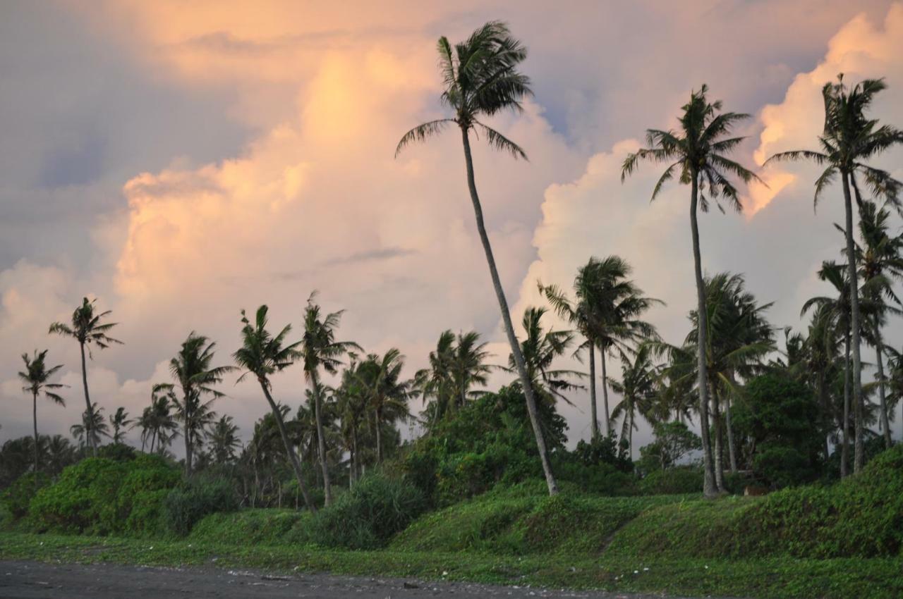 Seaside Tribe - Boutique Surf Stay & Retreat Tanah Lot Exteriör bild